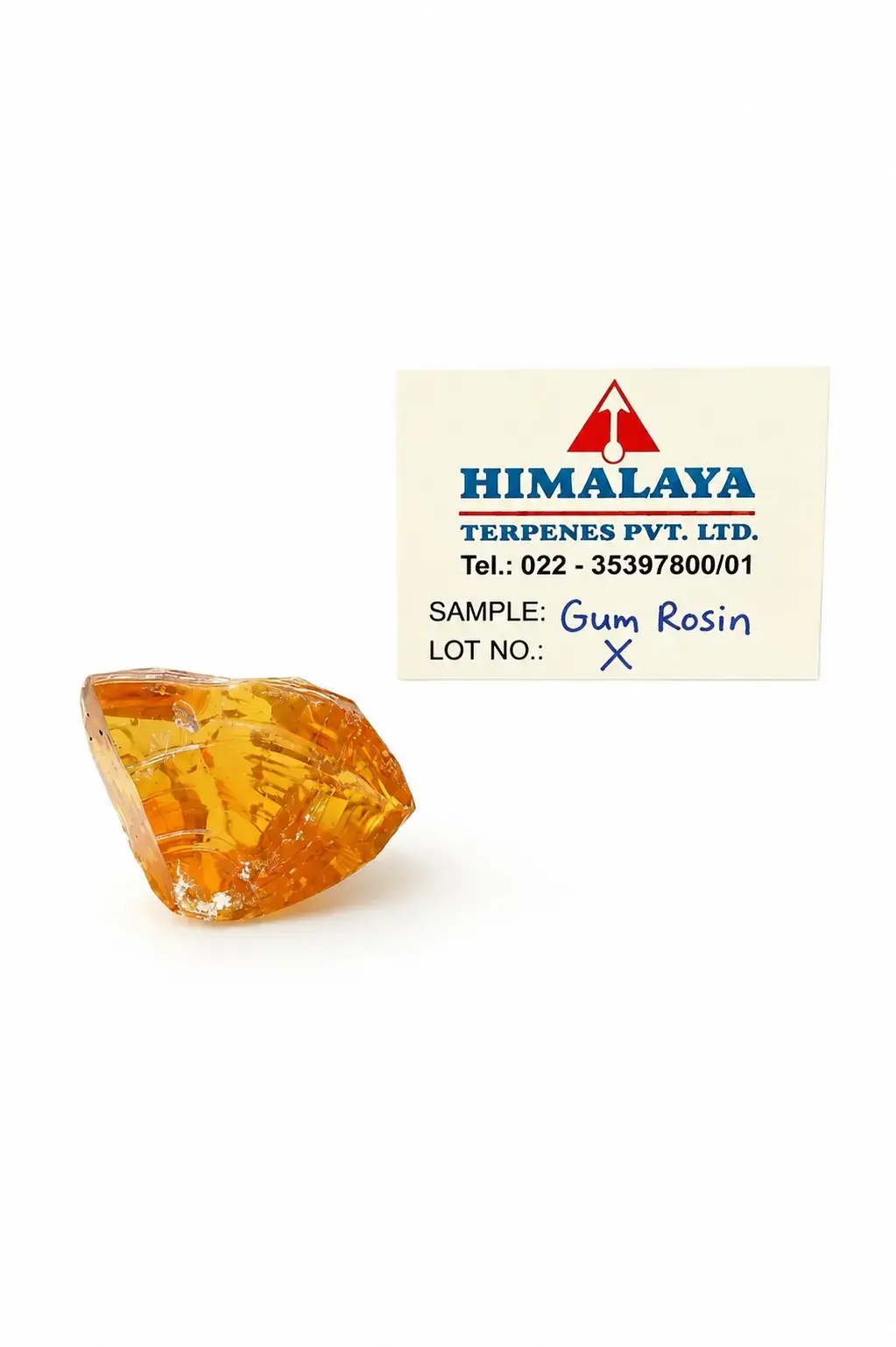 Gum Rosin X